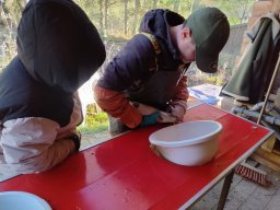 whatsapp image 2025-10-19 at 14.55.58